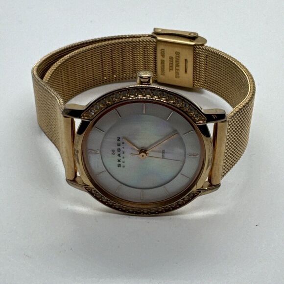 Skagen 804SRR Women\'s Stainless Steel Mesh Analog Dial Quartz Wrist Watch AEA318 main image 10